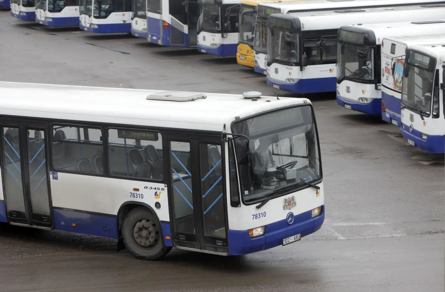 Riia bussid.