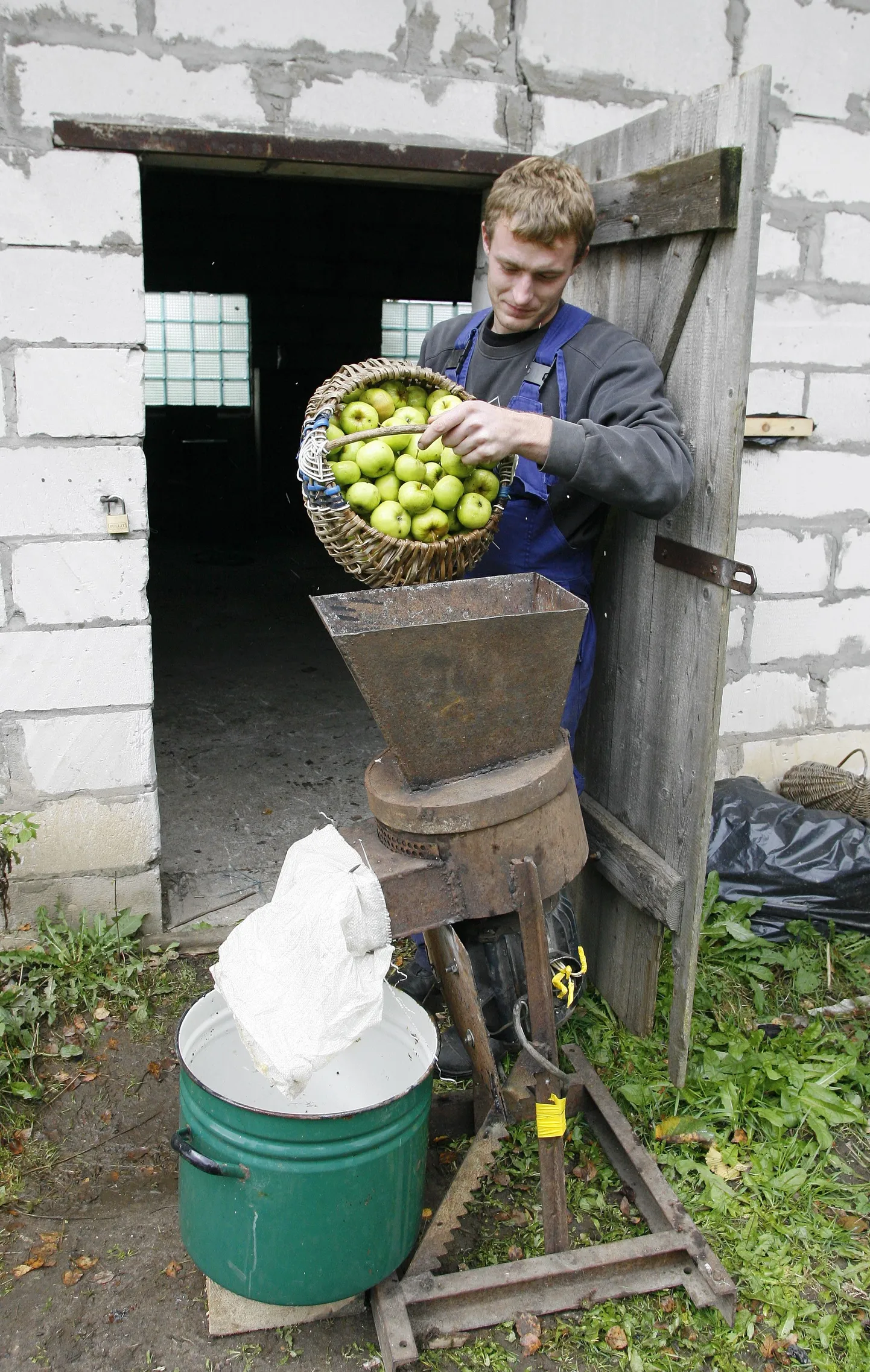 Rivo Stutsilov tõstab purustatud õunad kopsikuga kottidesse.