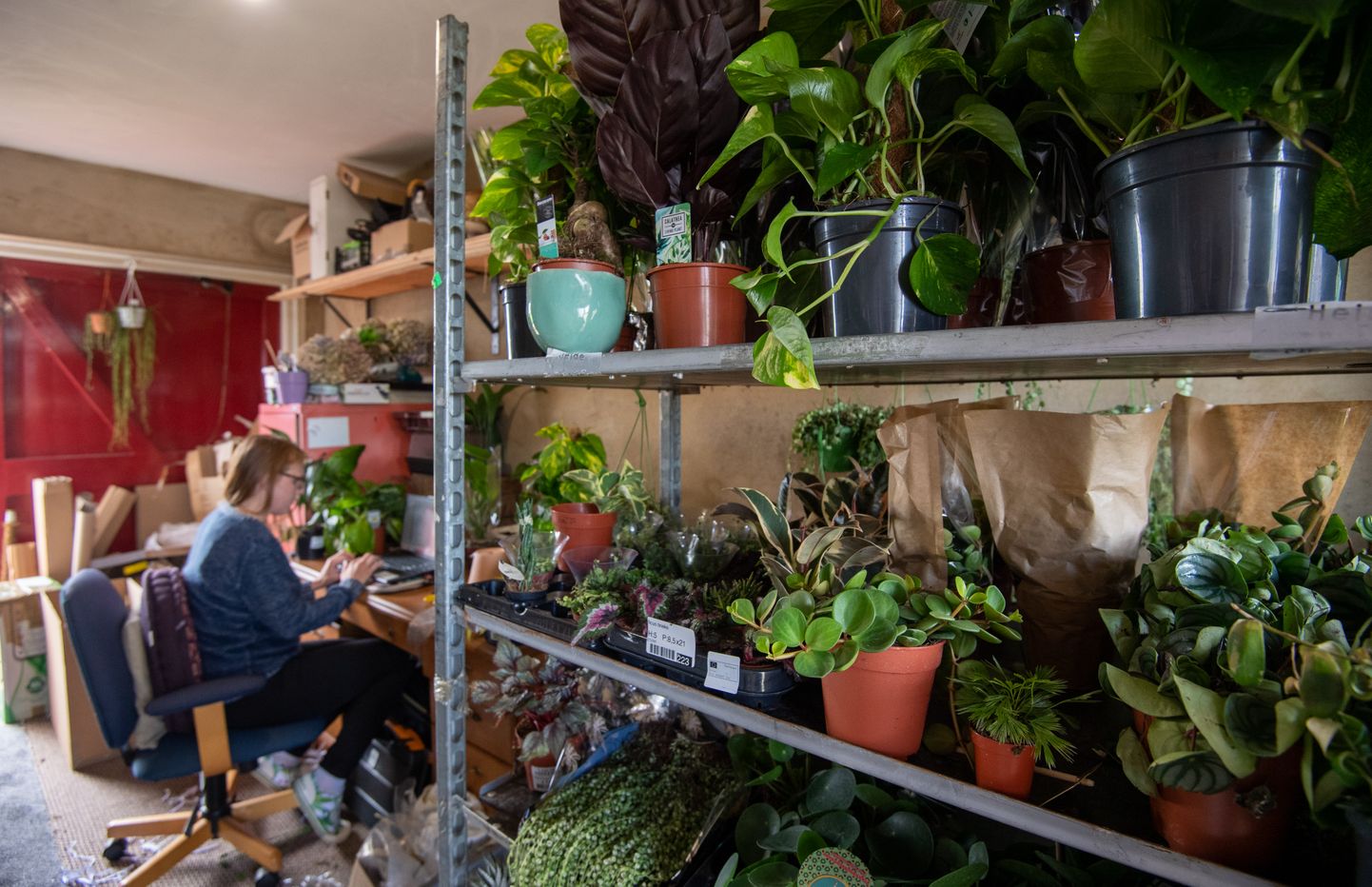 Бизнес живущей в графстве Норфолк хозяйки цветочного магазина процветает и во время кризиса.