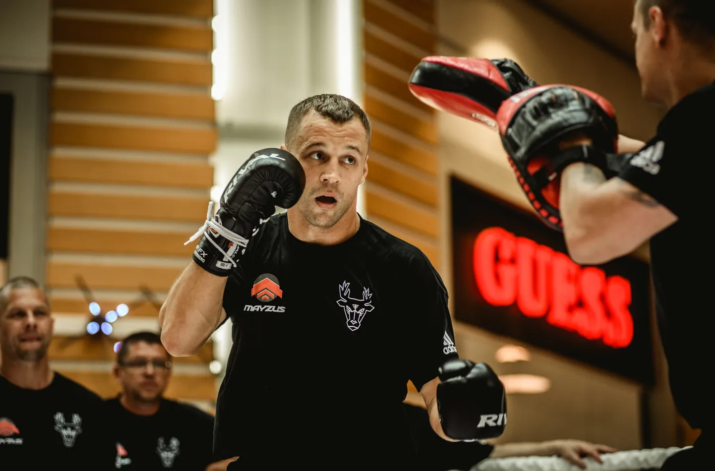 Mairis Briedis