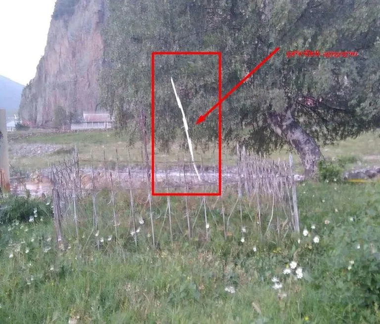 Фото статьи