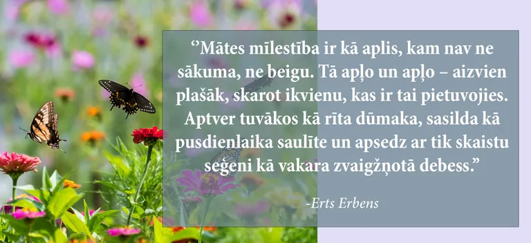 Raksta foto
