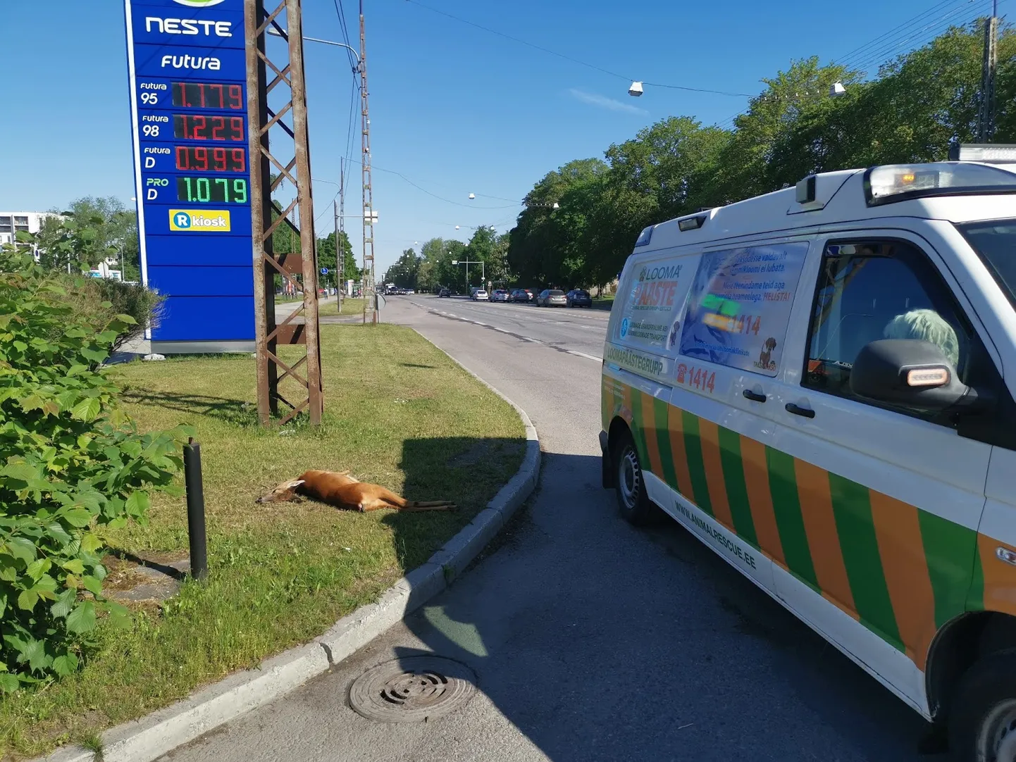 Фото с места происшествия.
