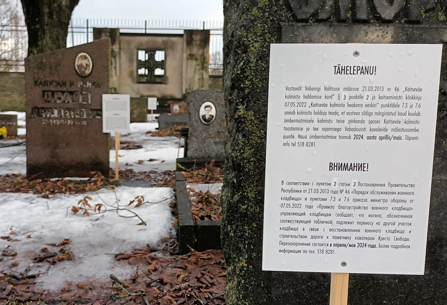 Вид на монумент кавалерам Креста Свободы, Военное кладбище Сил обороны, Таллинн, 3 февраля 2024 года.