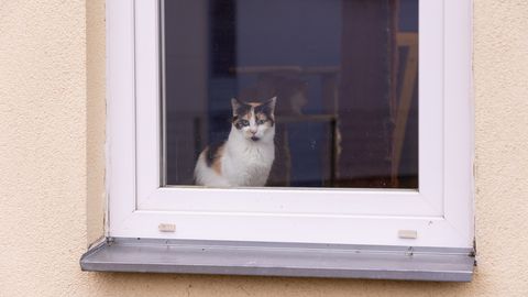 Kassi kättesaamiseks võõrasse korterisse tunginud mees pääses kriminaalkaristusest