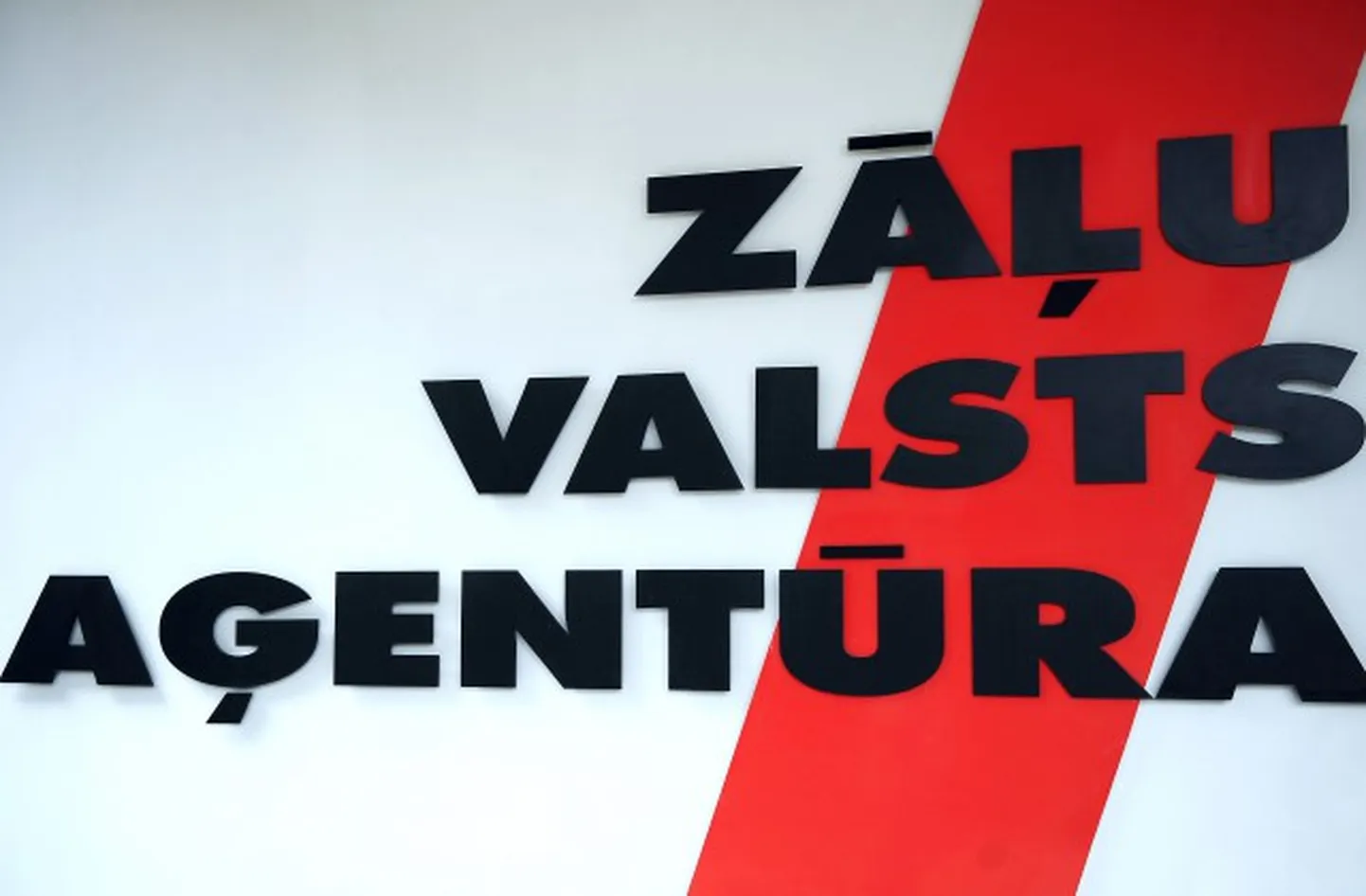 Raksta foto
