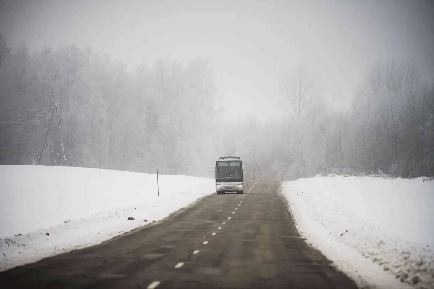 Фото статьи