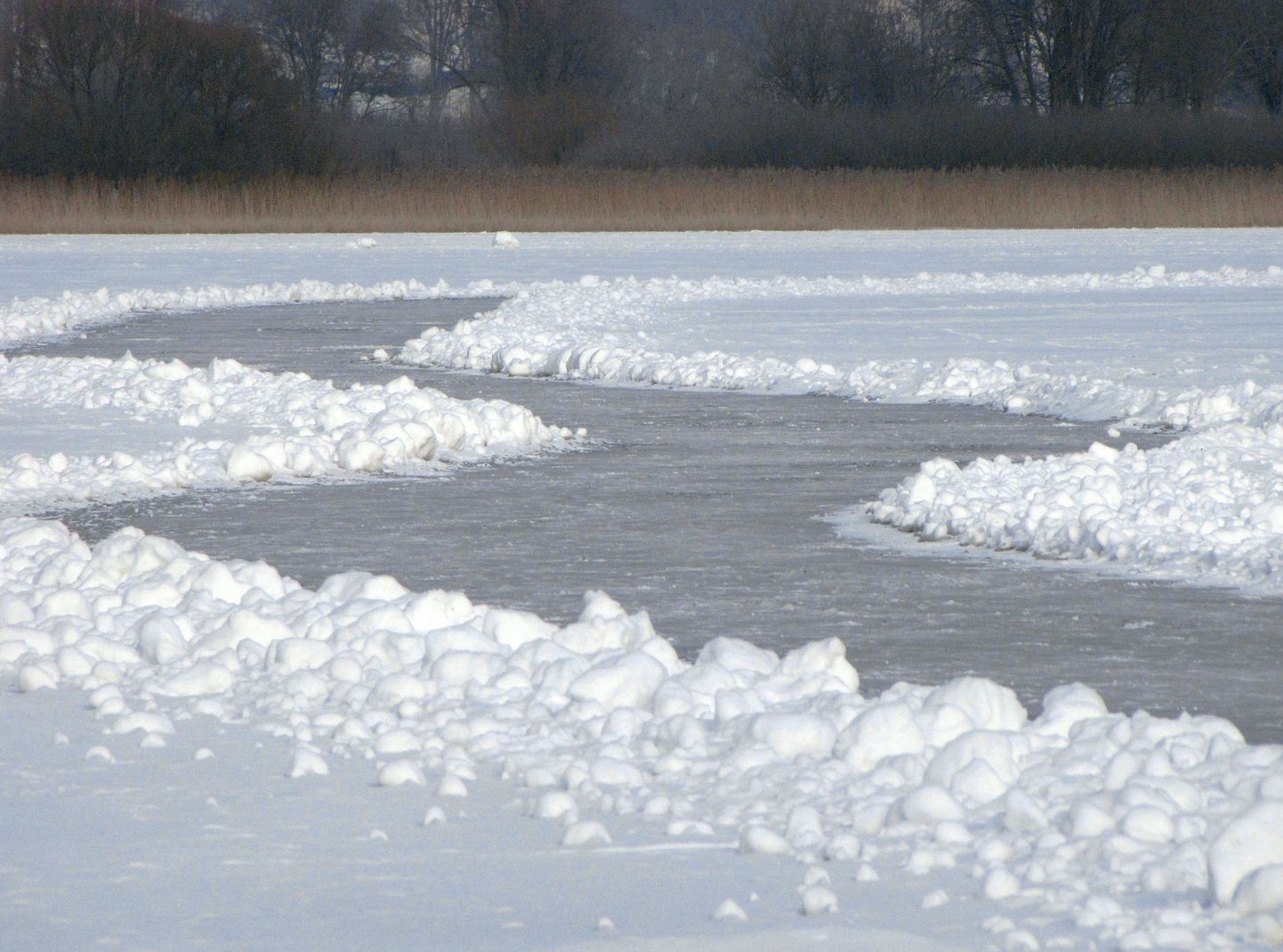 Uisurada Viljandi järve jääl.