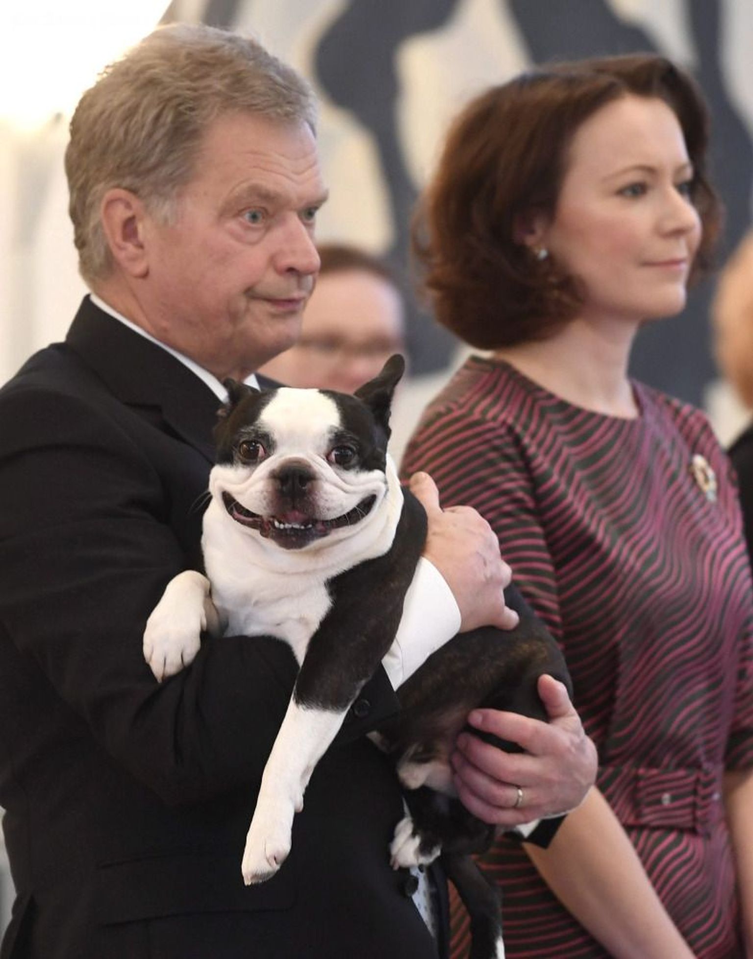 Presidendipaar Sauli Niinistö ja Jenni Haukio koos oma lemmiku Bostoni terjeri Lennuga.