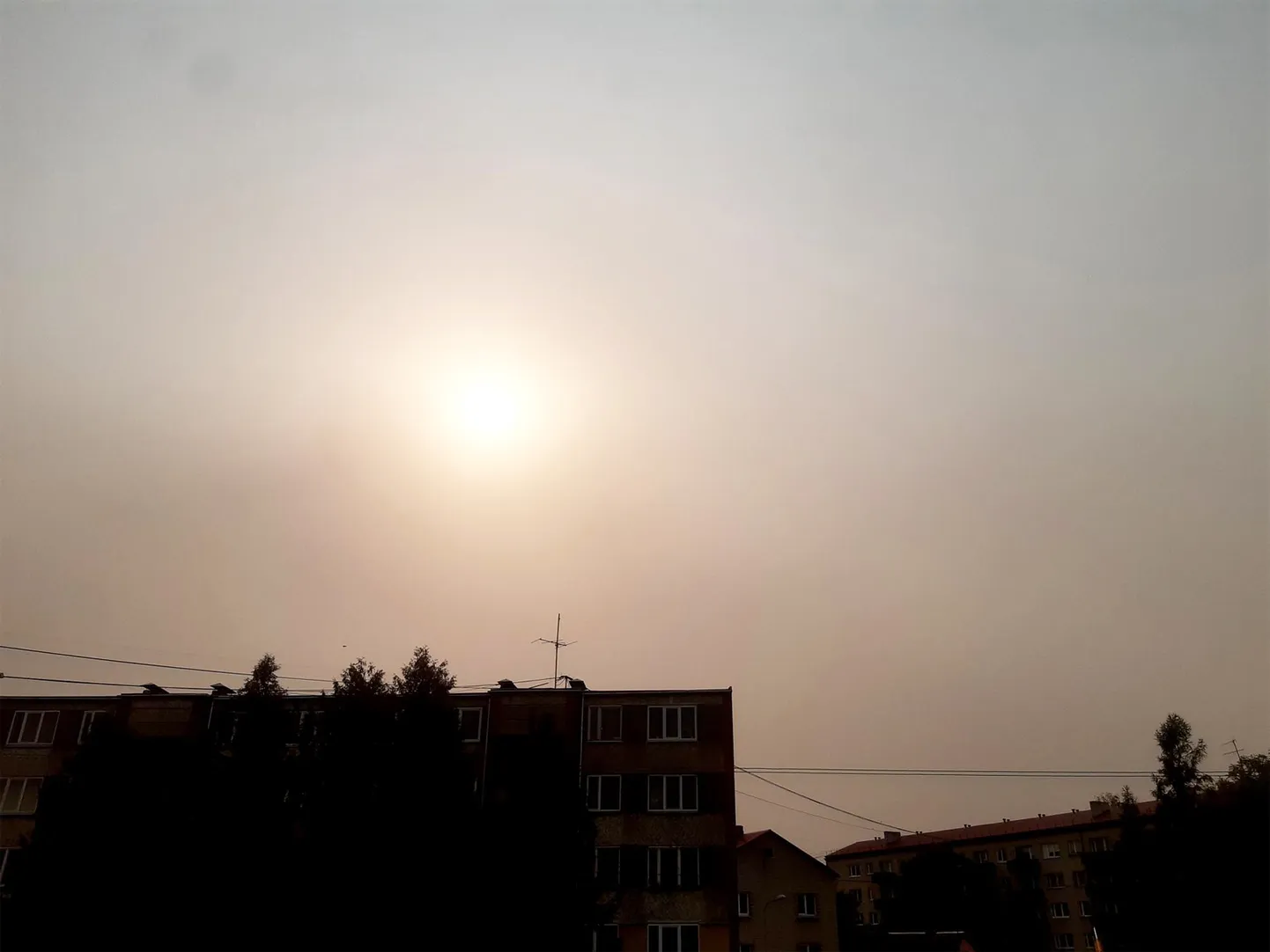 Raksta foto