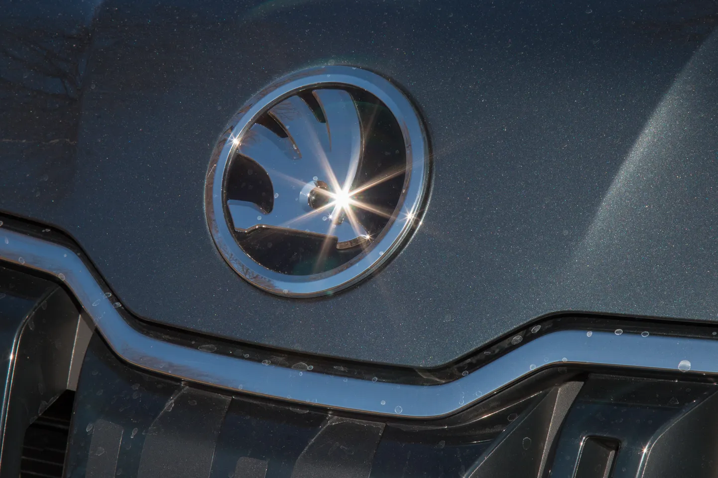 Логотип Skoda.