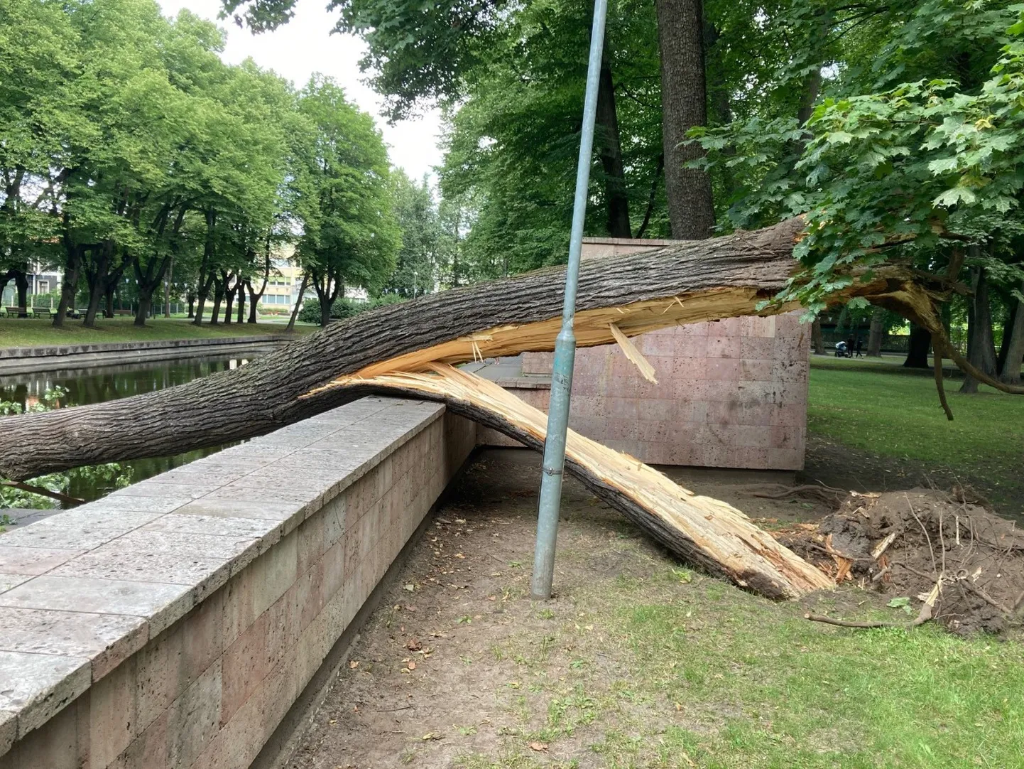 Raksta foto