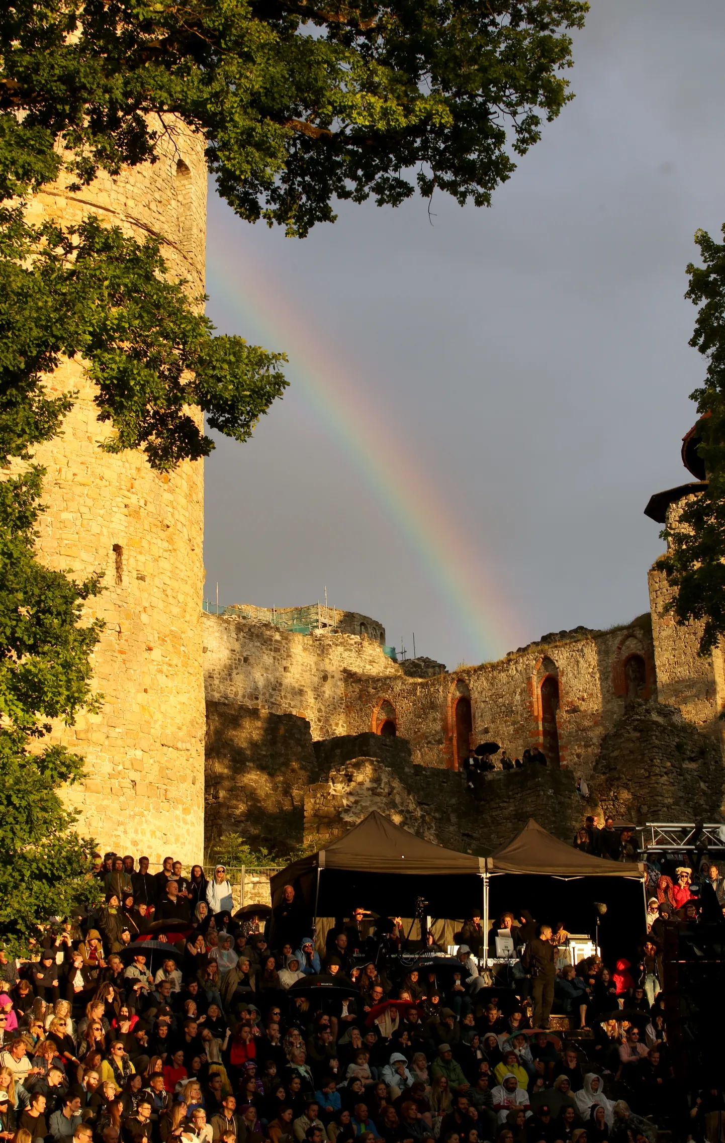 Raksta foto
