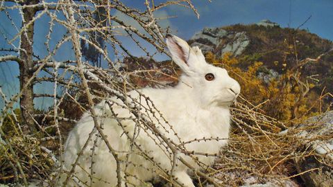 Horoskops piektdienai - 3. aprīlim