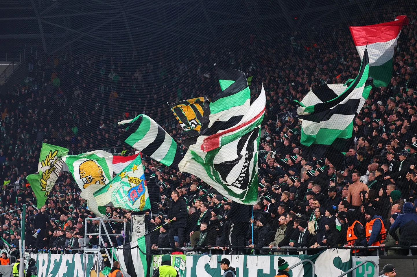 Ferencvárosi TCi fännid.