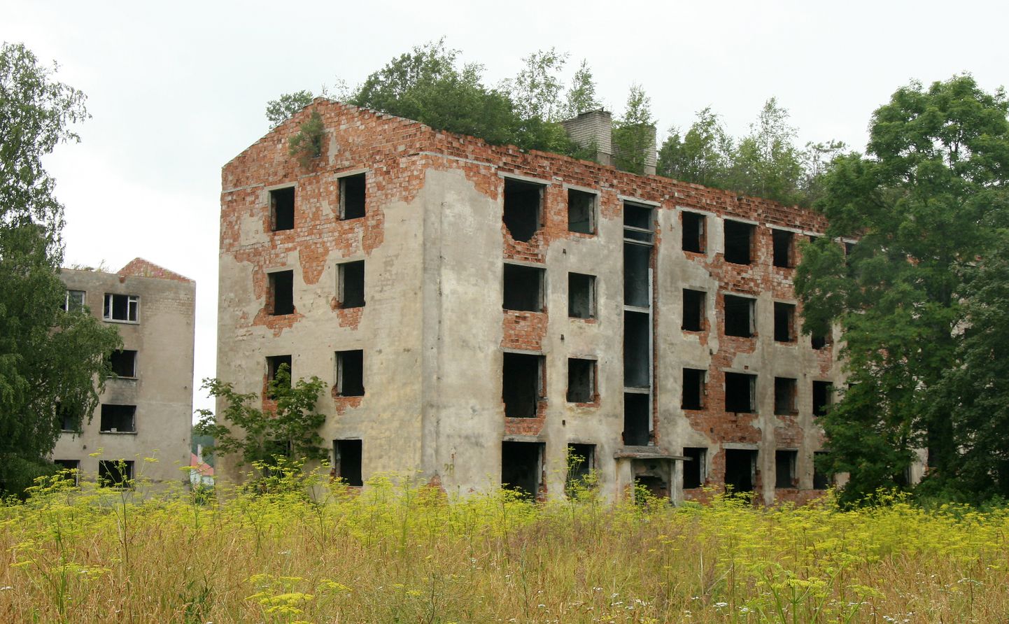 В Сомпаской части города Кохтла-Ярве много домов, от которых остались одни развалины.