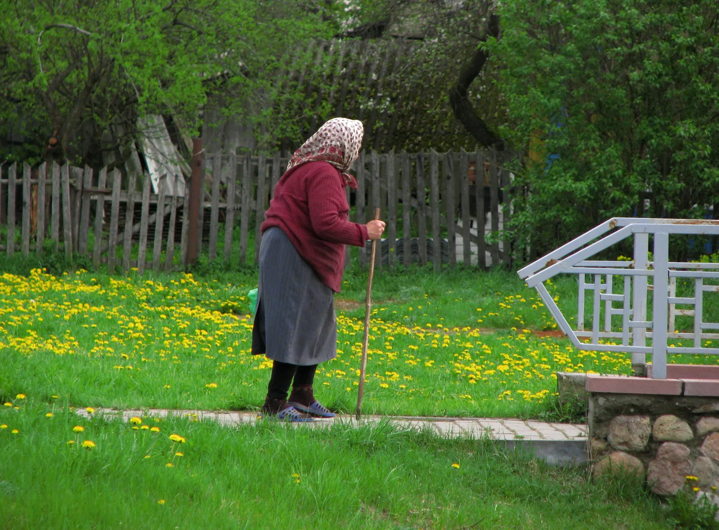 Raksta foto