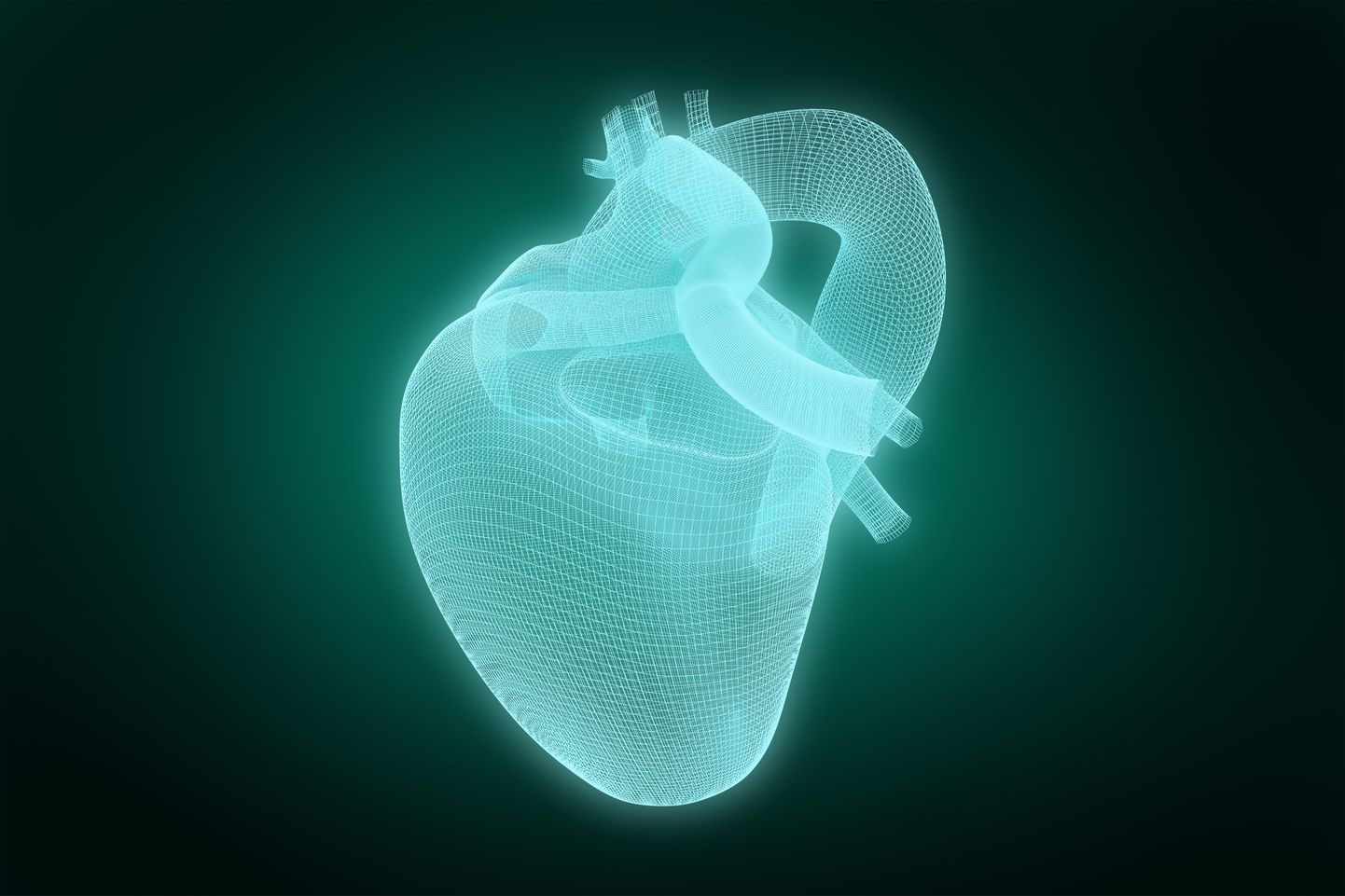 Модель искусственного сердца