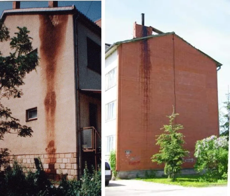 Pigikahjustusega korstnad.