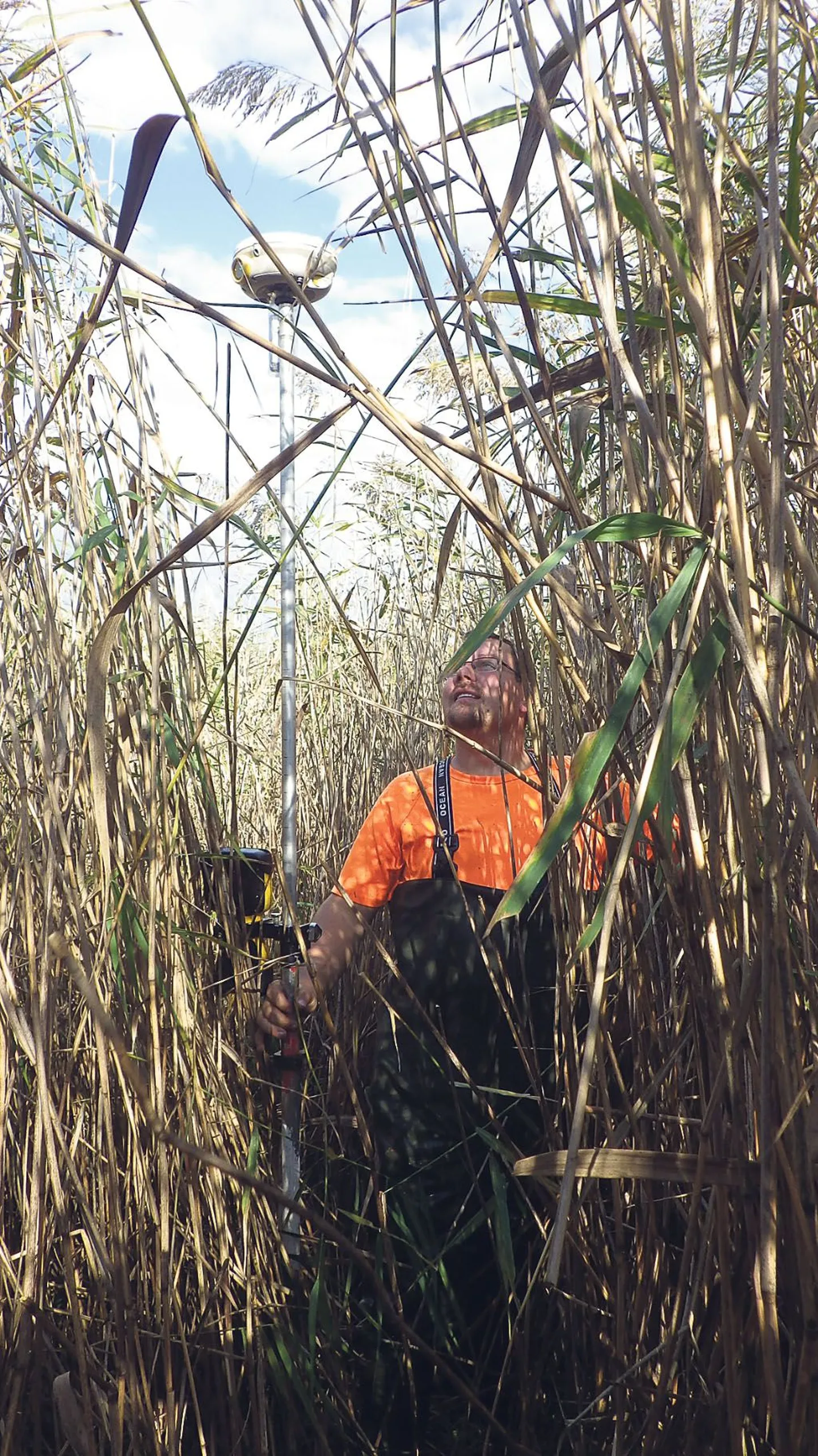 Geodeedid mõõtsid lõugaste piire, sügavust ja mudakihi paksust ning vaatasid, kuidas vesi rannaniidul paremini liikuma panna.