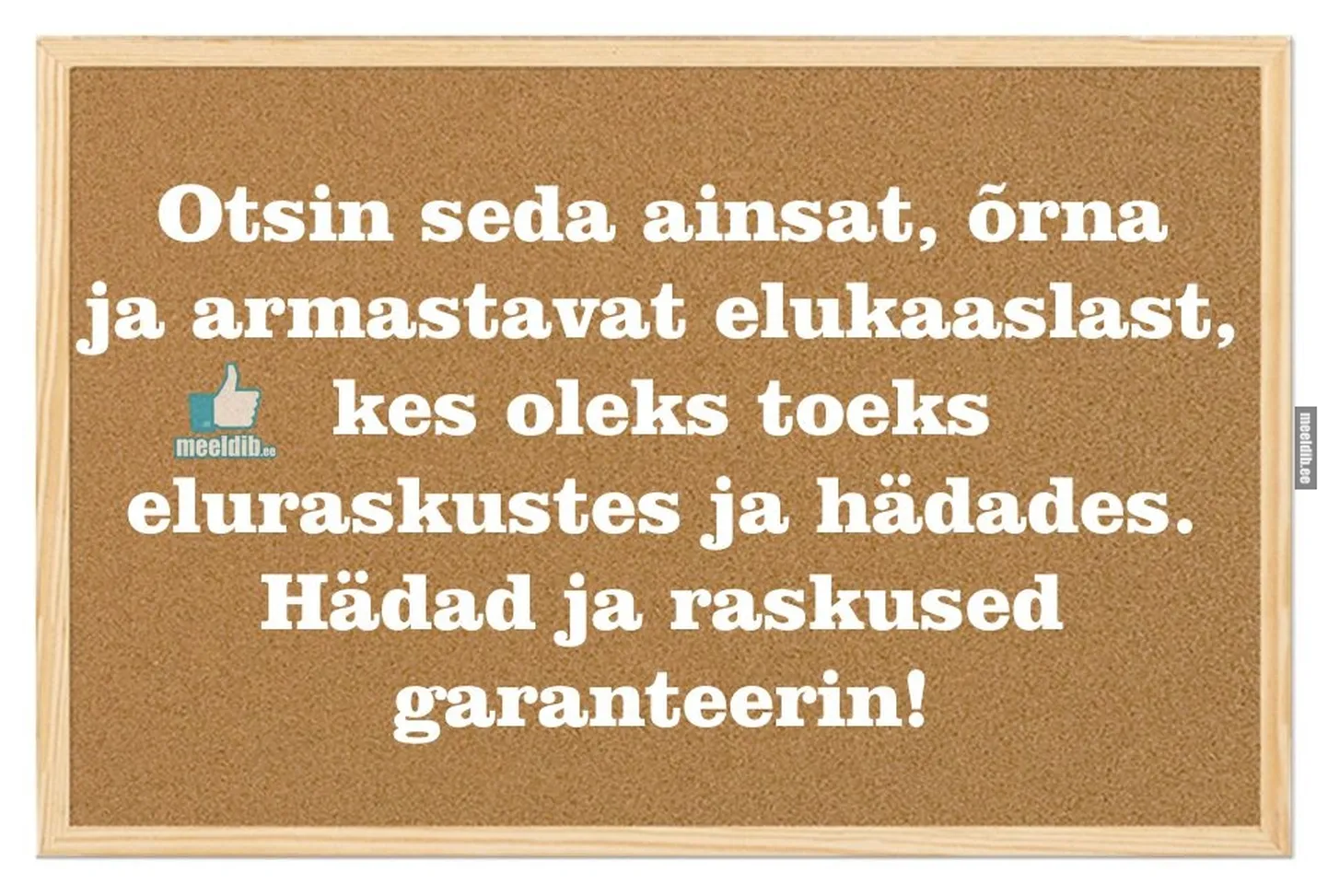 Artikli foto