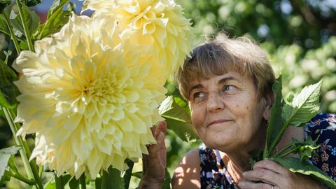 PILDID ⟩ Pärnu aiapidaja käe all kasvavad tavalised lilled hiidmõõtu