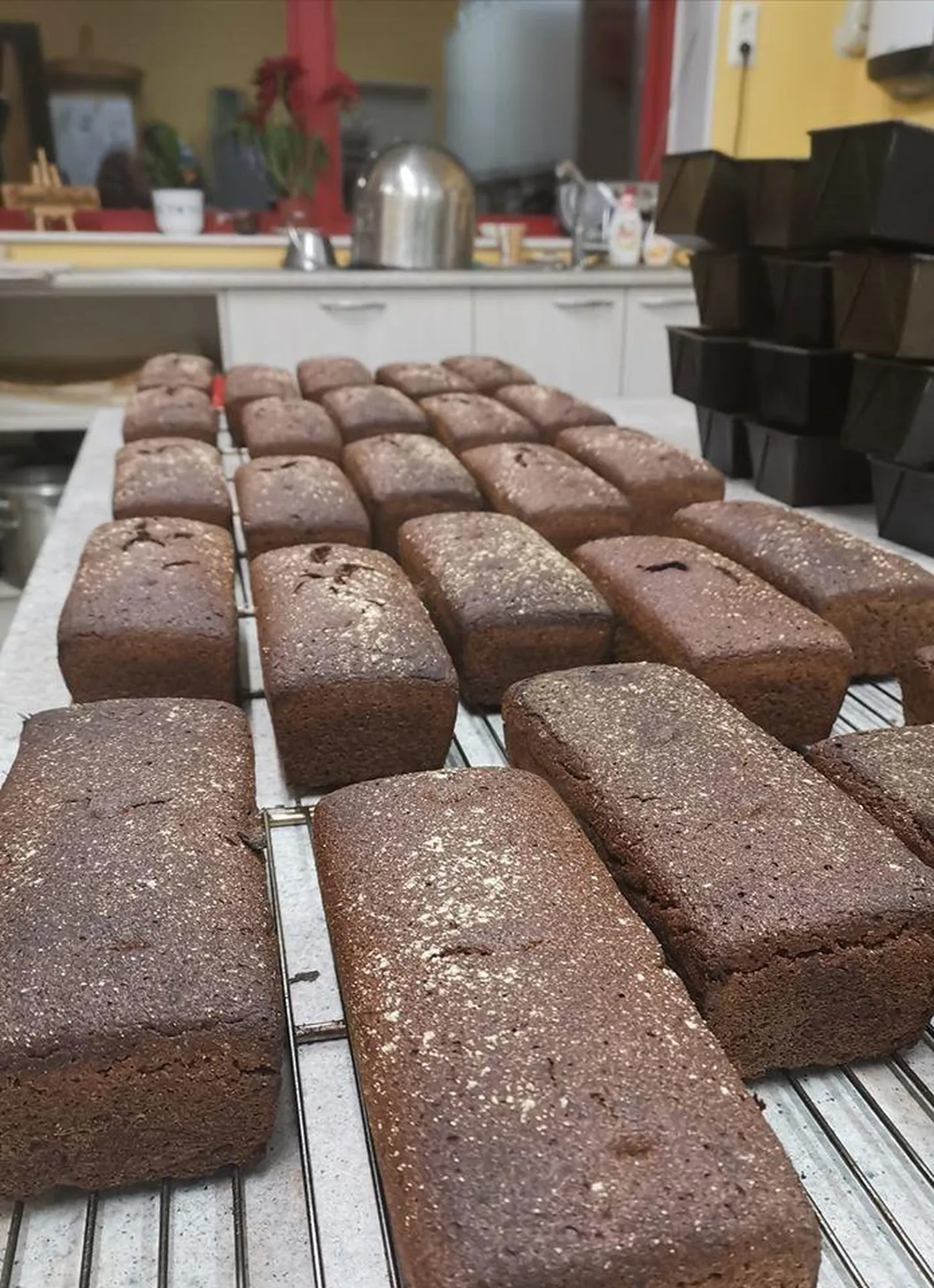 Väike-Maarja valla Kaarli talus käib leivategu ööd ja päevad. Taluperenaise Kadri Kopso leivanumbriks on musta leiva valmistamine.