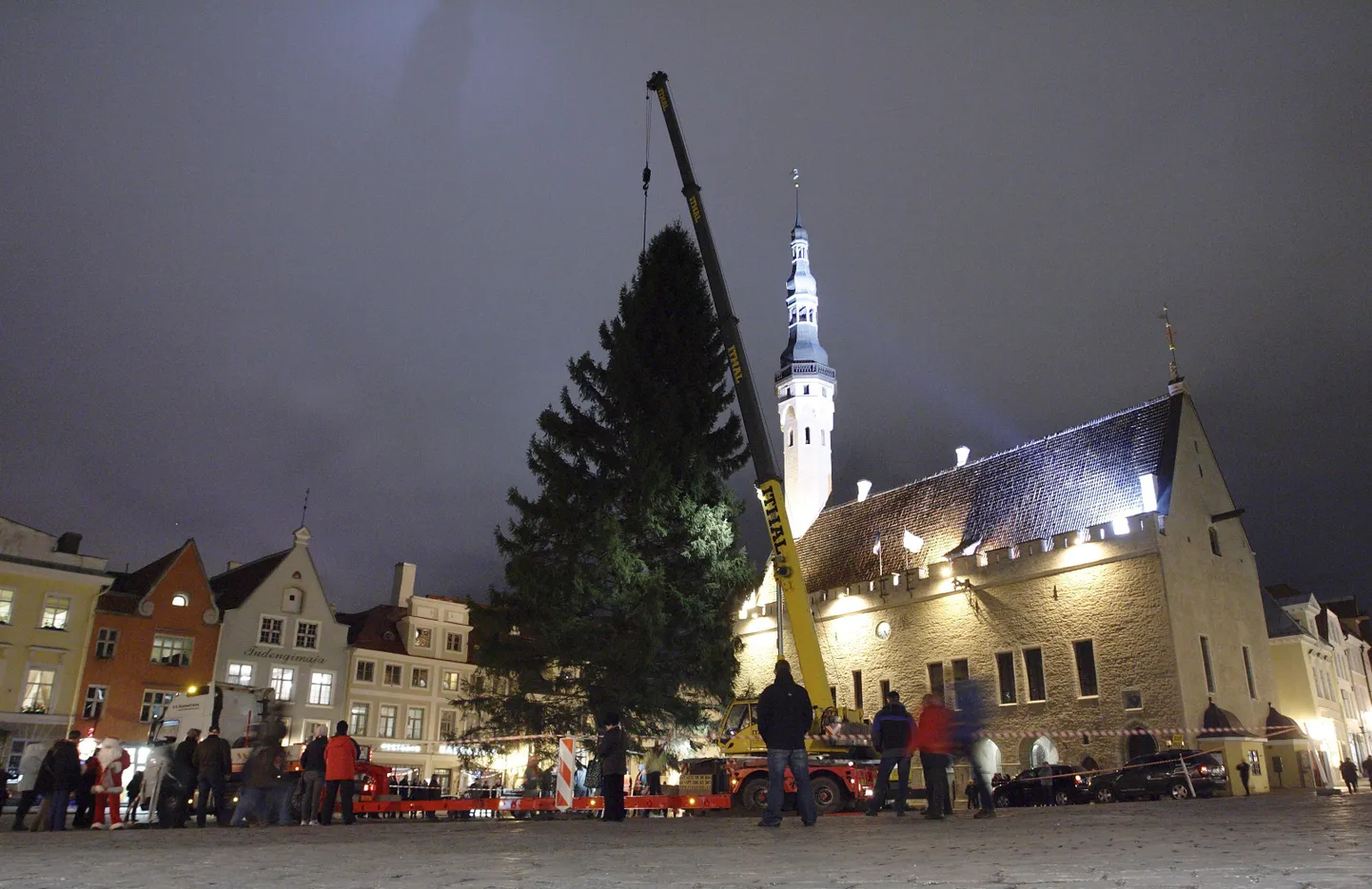 Tallinna mullune jõulukuusk oli pärit Kuusalu vallast Hirvli külast.