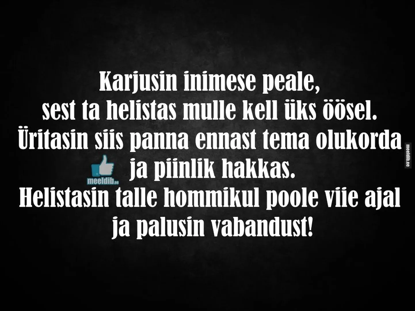 Artikli foto