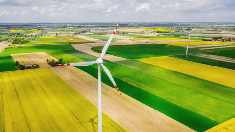 Study: Coal and Biomass Energy Could Cost Europe Hundreds of Billions in Health and Climate Damages