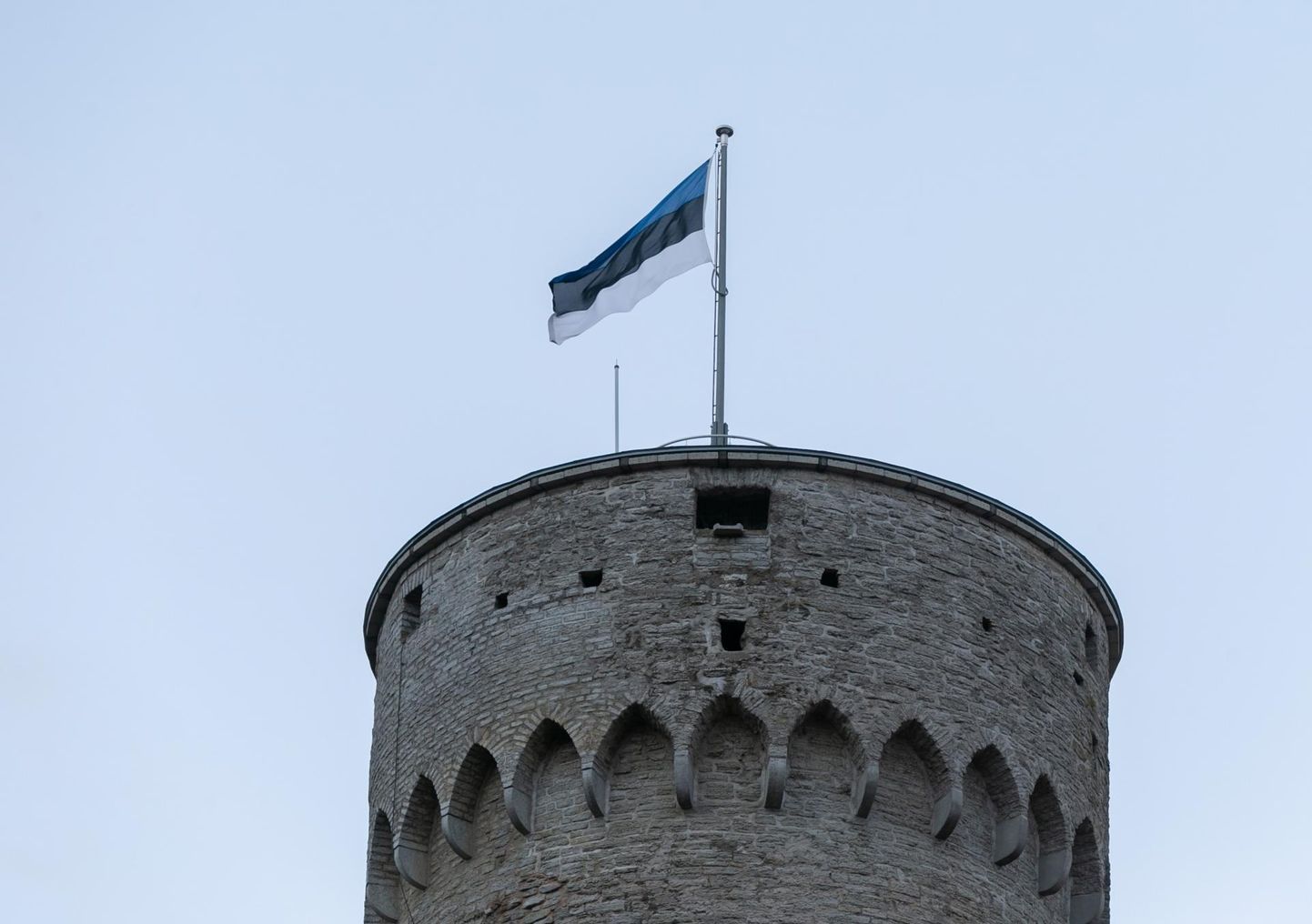 Последние 35 лет на башне Длинного Германа развевается сине-черно-белый флаг.