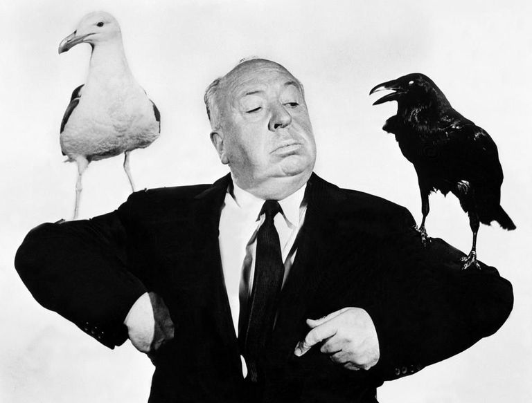 Alfred Hitchcock 1963. aastal filmi «Linnud» võtete ajal. Альфред Хичкок.