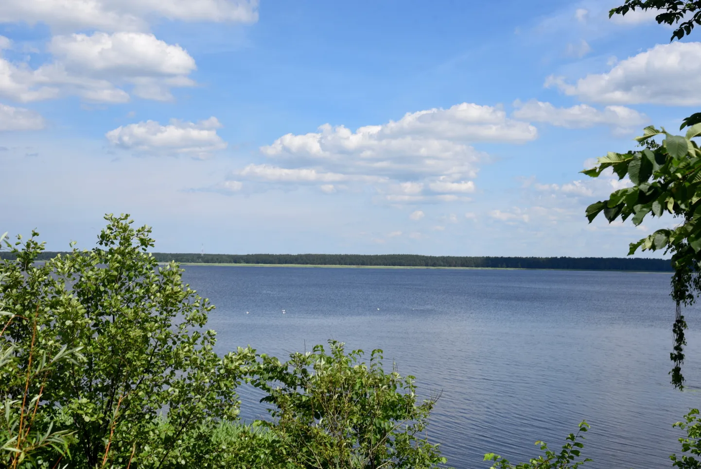 Кишэзерс, район Рижского зоопарка