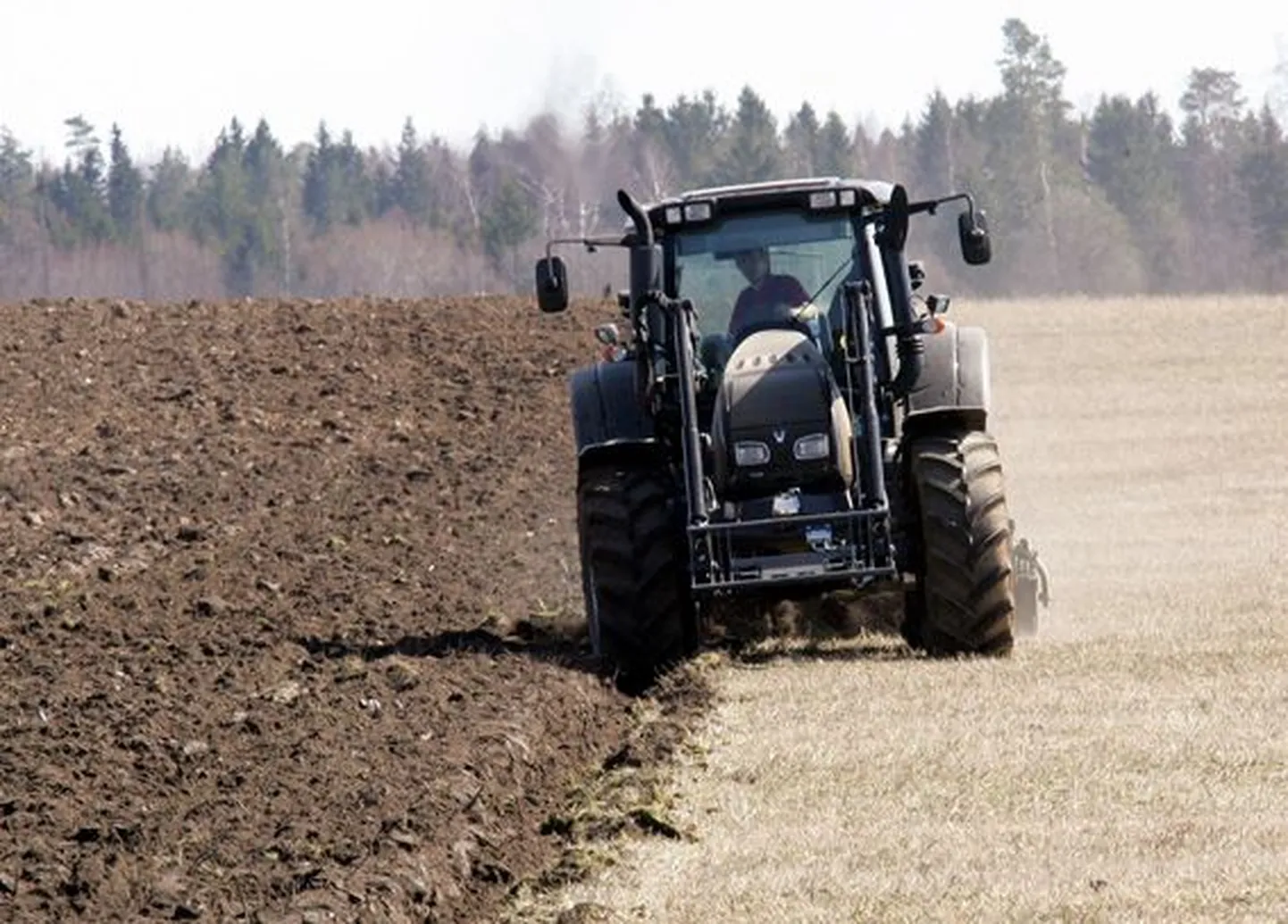 Analüütikud soovitavad investeerida maasse, mille pind on meil püsiv suurus ning mille väärtus saab ajas vaid kasvada.