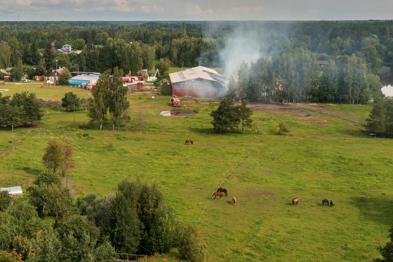 Taamalt tehtud pilt Reiu ratsakooli päästetöödest. 