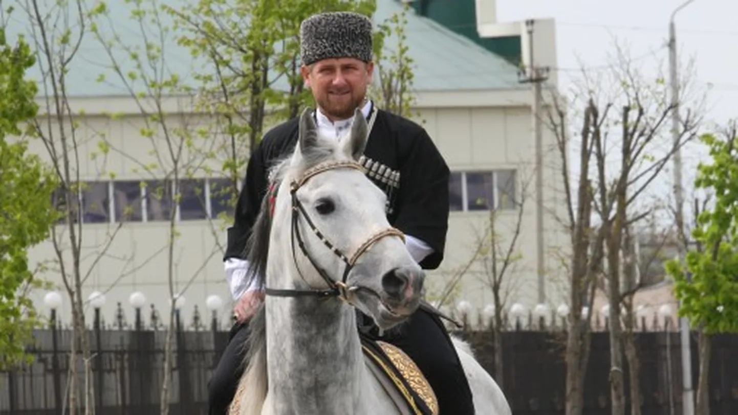 Фото статьи