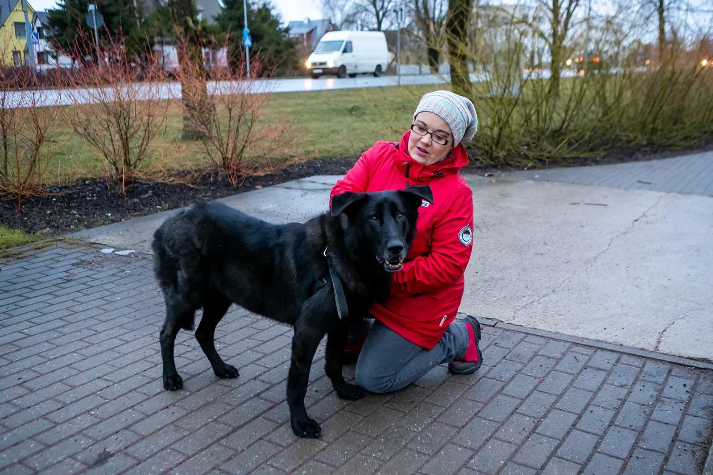 Kui tänaval leiab Mart, et peab oma perenaist kõigi eest kaitsma, siis kodus on ta Liisi Laidi sõnul sülekoer.