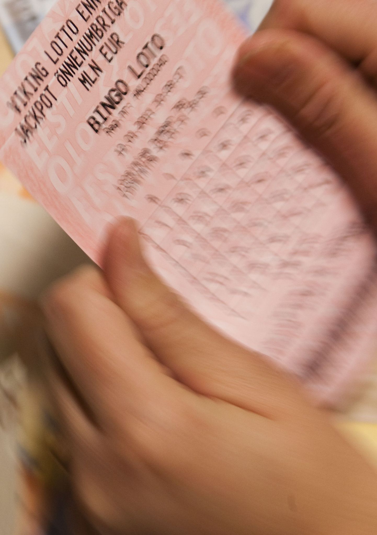 Билет Bingo Loto