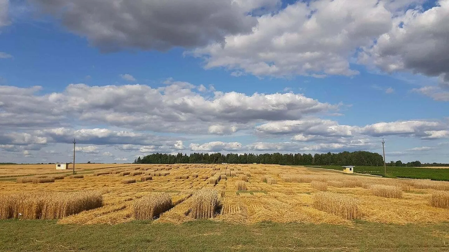 Kui tööealistel lastega peredel pole maal mugav elada, kolivad nad linna ja põllumajandusettevõtetel pole töölisi. Mis meie toidulettidel siis toimuma hakkab?