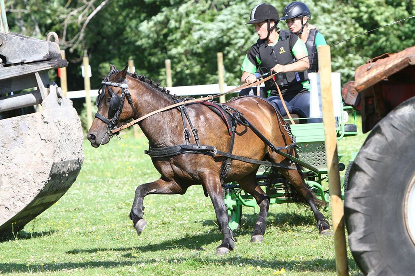 Riina Rõa ja hobune Grelli tulid Eesti meistriteks.