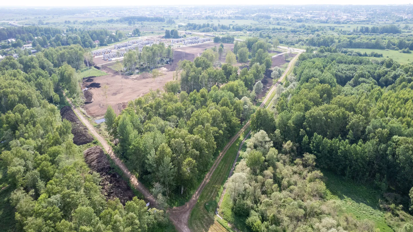 Kuigi detailplaneering algatati Ihastes Idaringtee 21 krundil mai lõpul, on ettevalmistustööd seal kestnud mitu aastat, mitõttu on metsagi vähemaks jäänud.