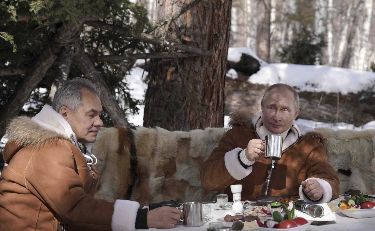 Venemaa president Vladimir Putin (pildil paremal) võib mureta olla - headel aegadel kogutud varud aitavad vähemalt esialgu lääneriikide sanktsioonid üle elada. Pildil võtab riigipea koos kaitseminister Sergei Šoiguga pruukosti mullu märtsis Siberi taigas.