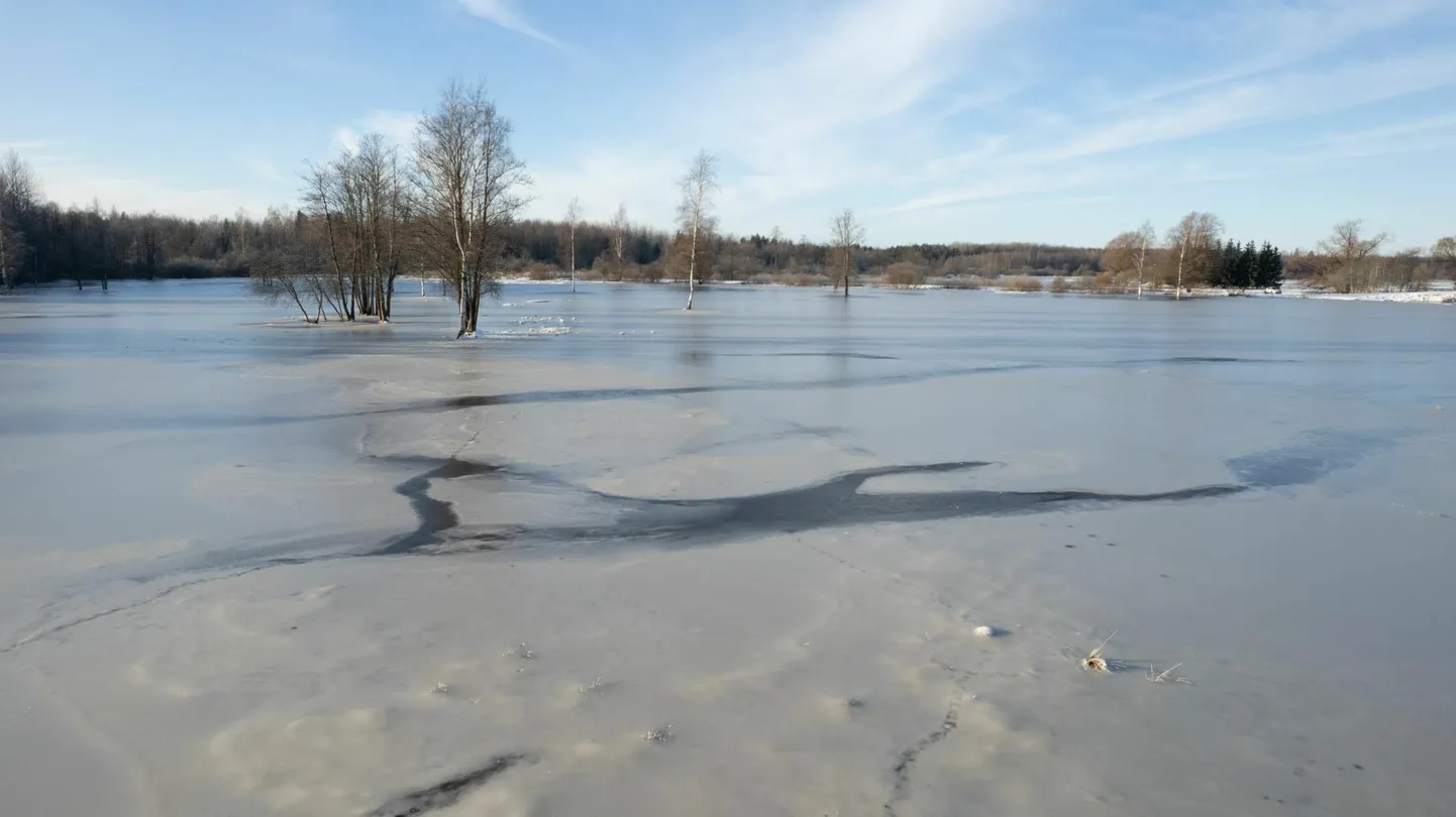 Soomaal suurt üleujutust praegu ei ole. Jõulude ajal tekkinud laiad jääväljad on kaetud veega, nii et seal ei saa enam uisutada ega veel kanuuga sõita.