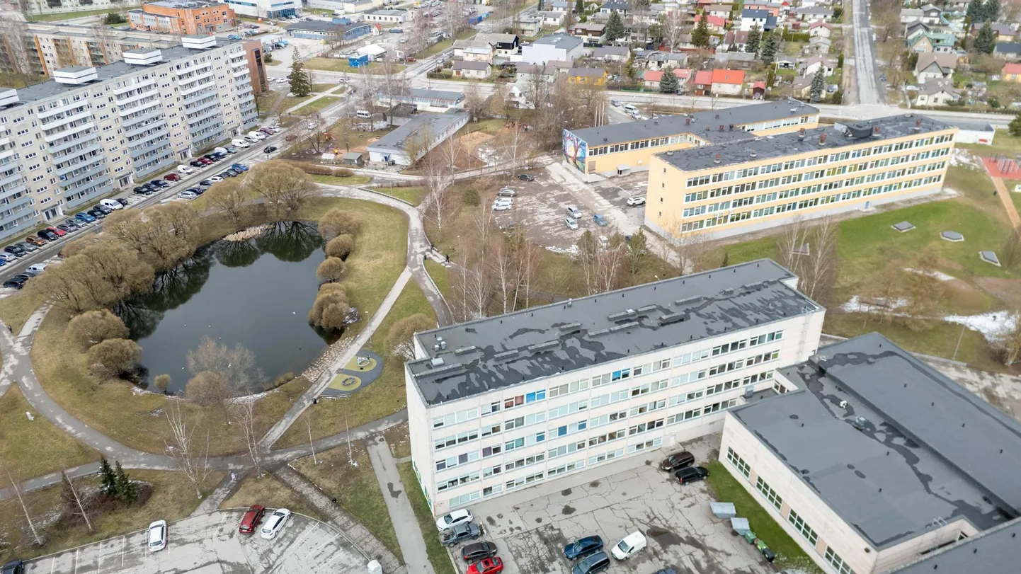 Tänavu kerkib Eesti kunstiakadeemia arhitektuuritudengite rajatis Annelinna, Hansa ja Descartes’i kooli juures asuva tiigi äärde. Osaliselt ehitatakse see vee peale.