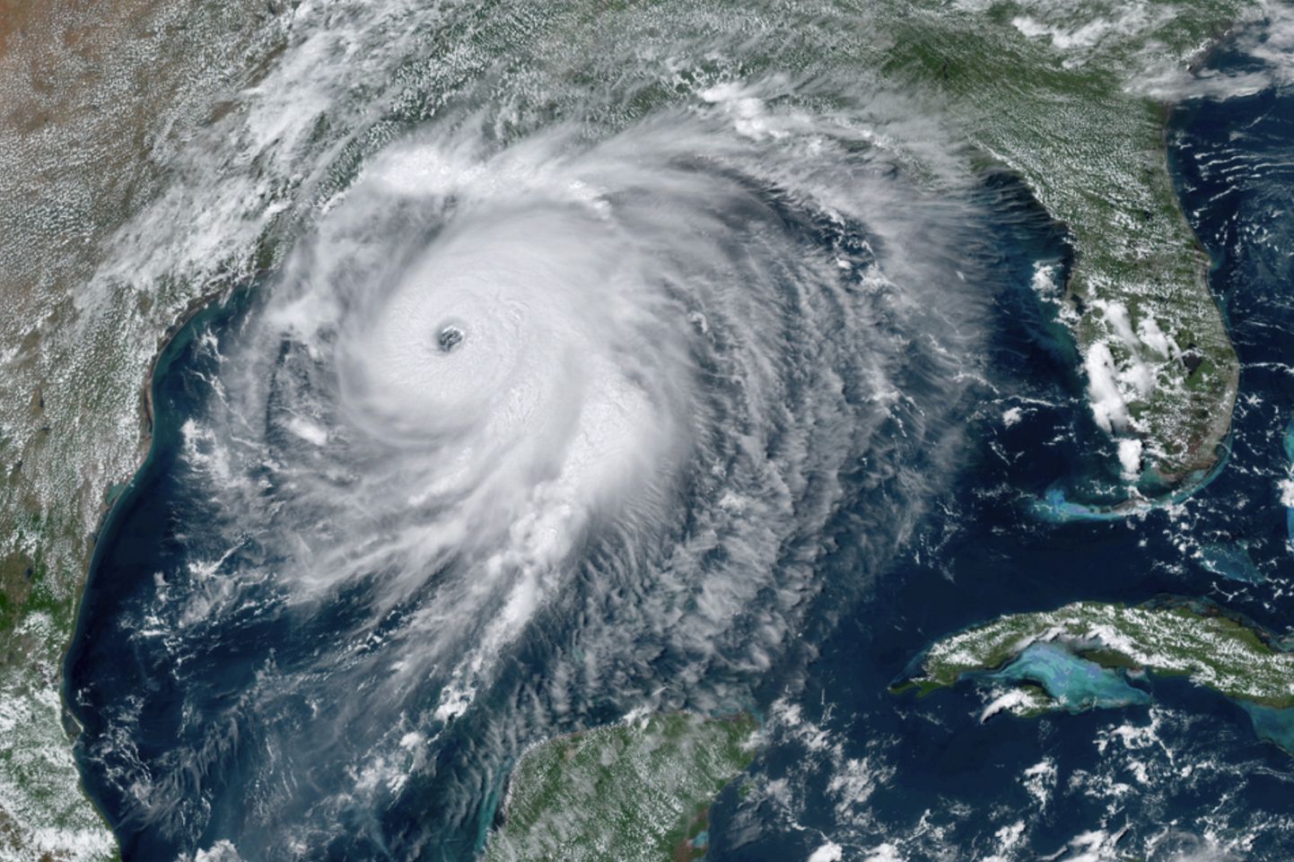 USA ookeani ja atmosfääri administratsiooni (NOAA) satelliidipilt orkaan Laurast