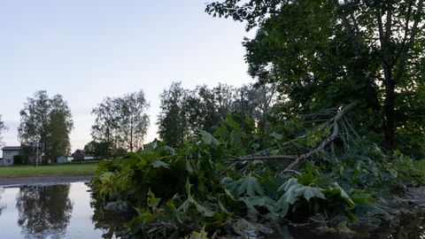 Võrumaal selgub aasta ilmasündmus