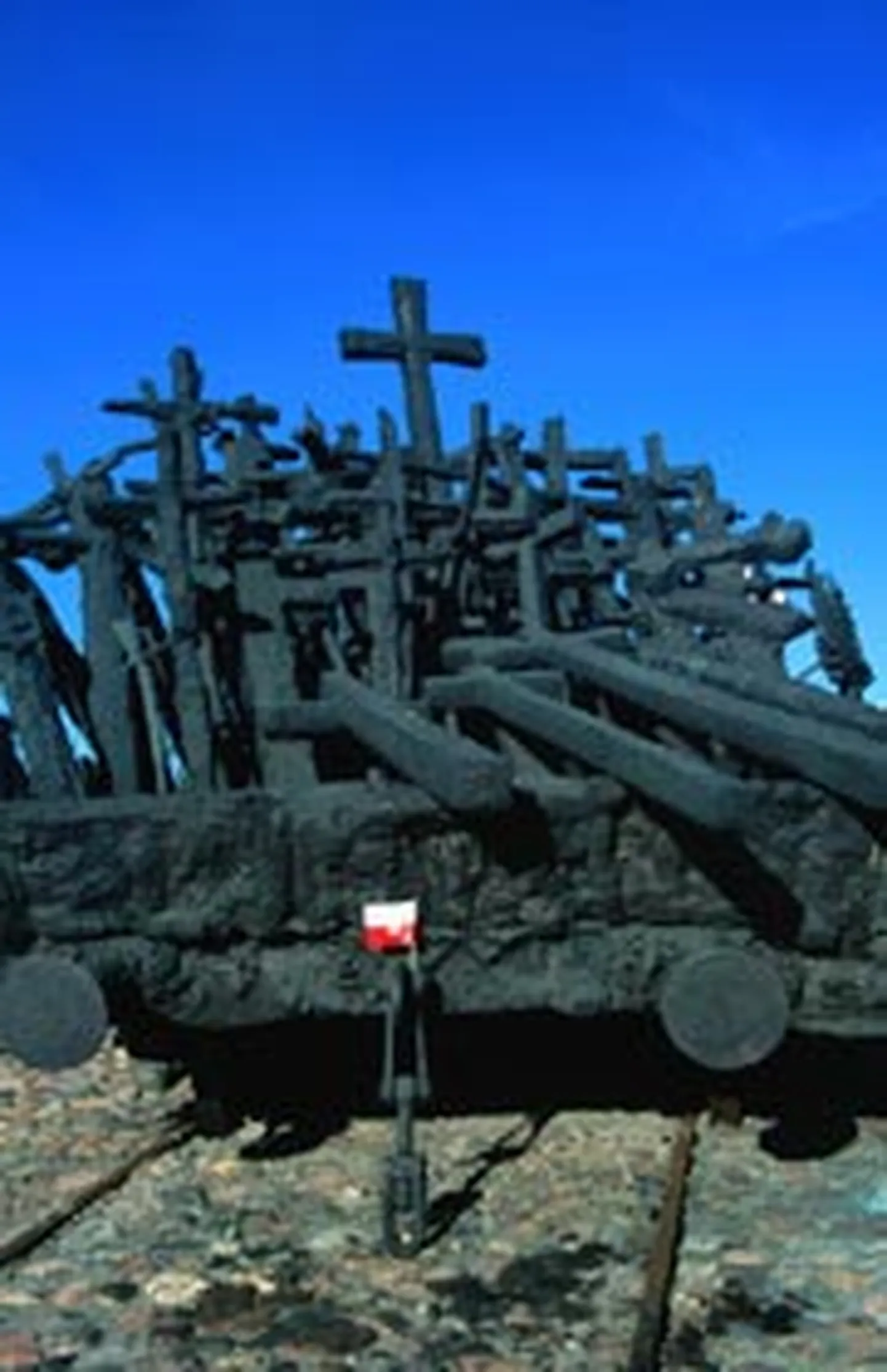Фото статьи