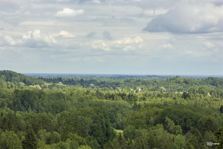 Raksta foto