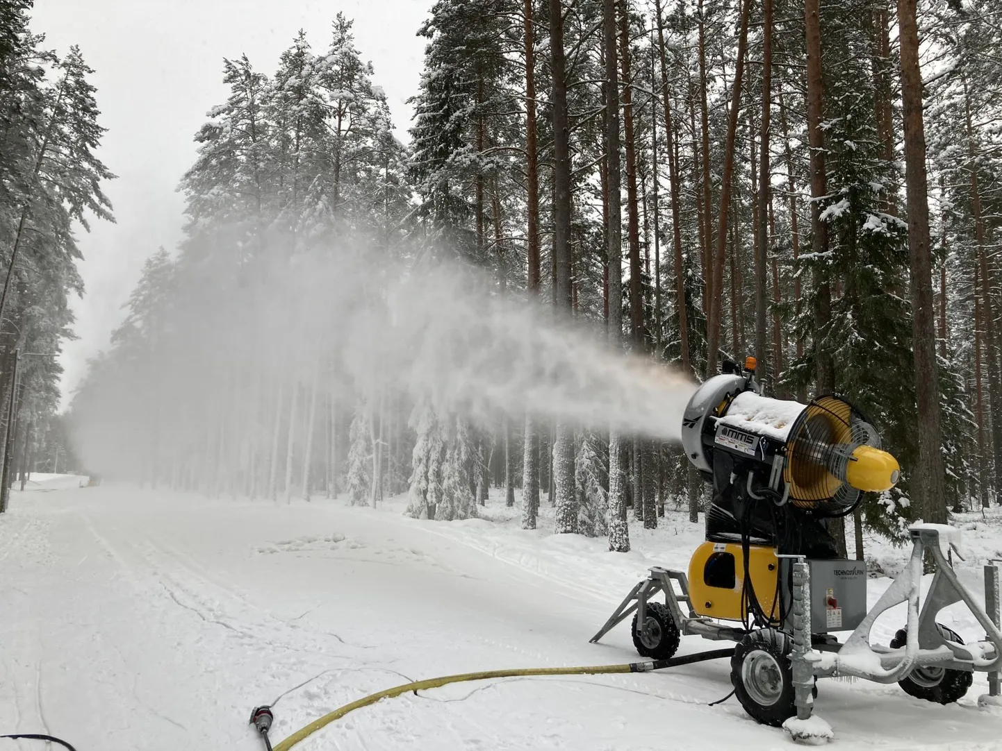 Kubija lumekahur. Foto on illustratiivne.