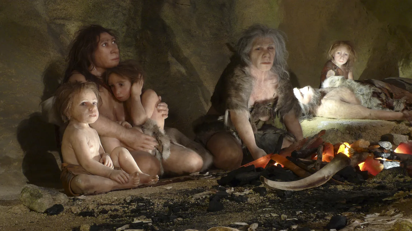 Neandertallased. Pilt on illustreeriv.